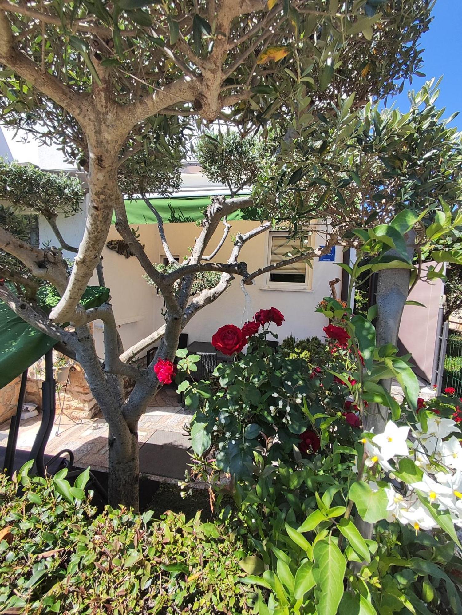Susy Apartment Umag Exterior foto