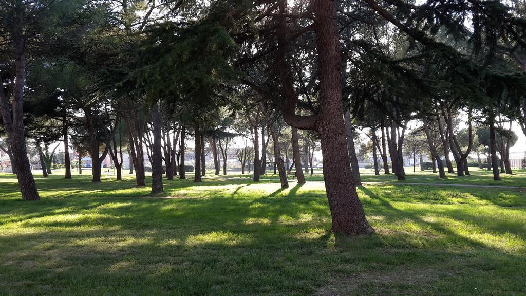 Susy Apartment Umag Exterior foto